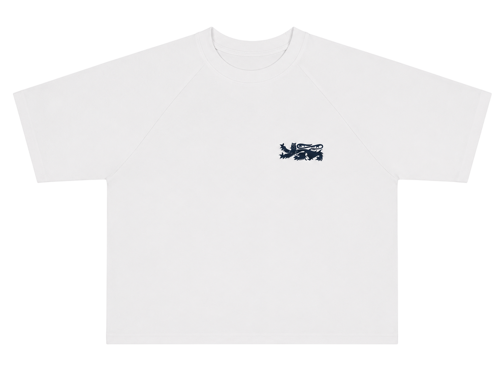 POLERA DEPART DRAGON